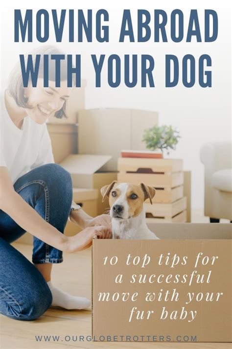 moving overseas with a dog